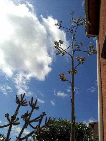summertime