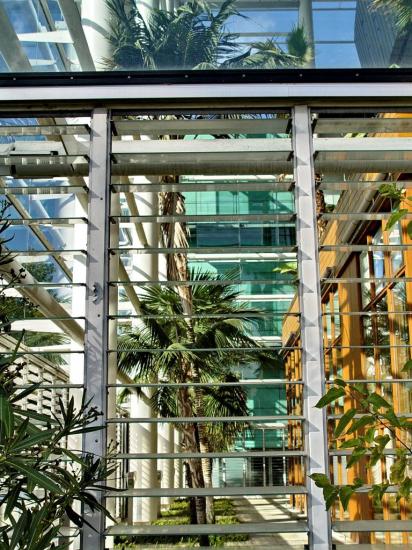 Divers palmiers au centre d'affaires Compans Caffarelli