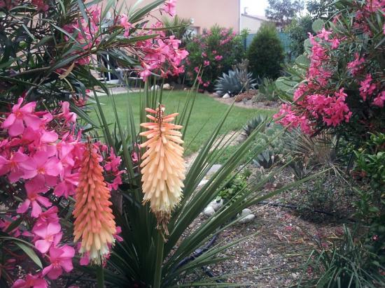 Exotica Tolosa  - juin 2014_
