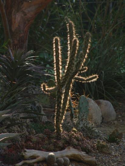 Exotica Tolosa - levée de soleil - oct 2013