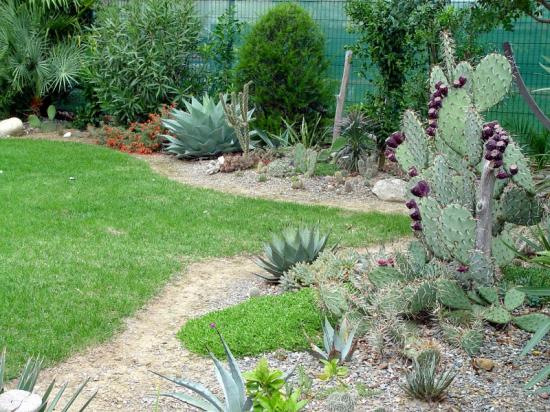 Exotica tolosa - Les mixed-borders version desert - oct 2013