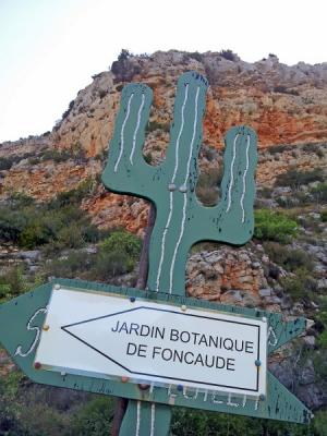 Jardin de Foncaude - Feuilla
