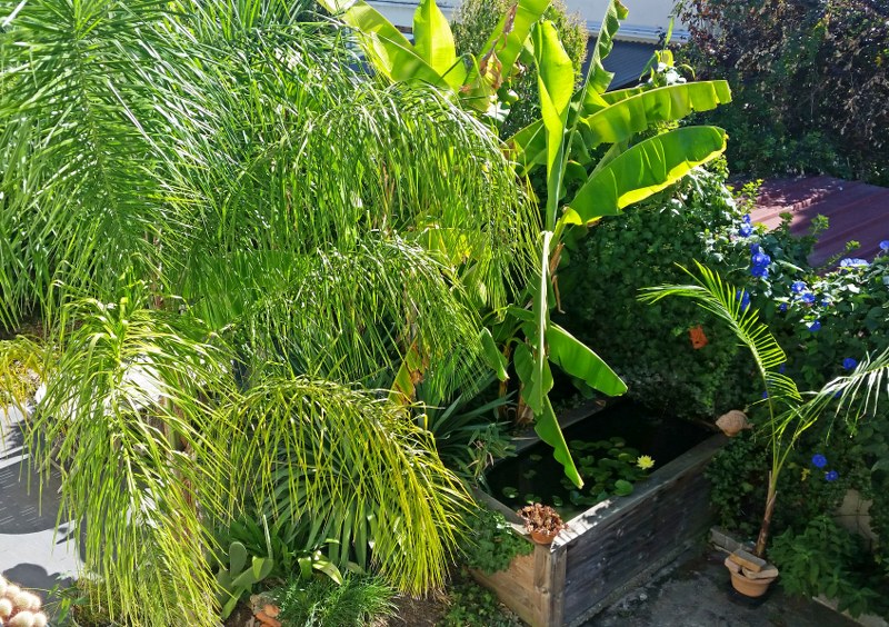 Jardin Pierre Alain, Toulouse