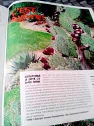 Article columerin